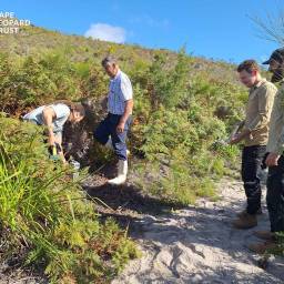 Setting up camera traps for the Overberg survey